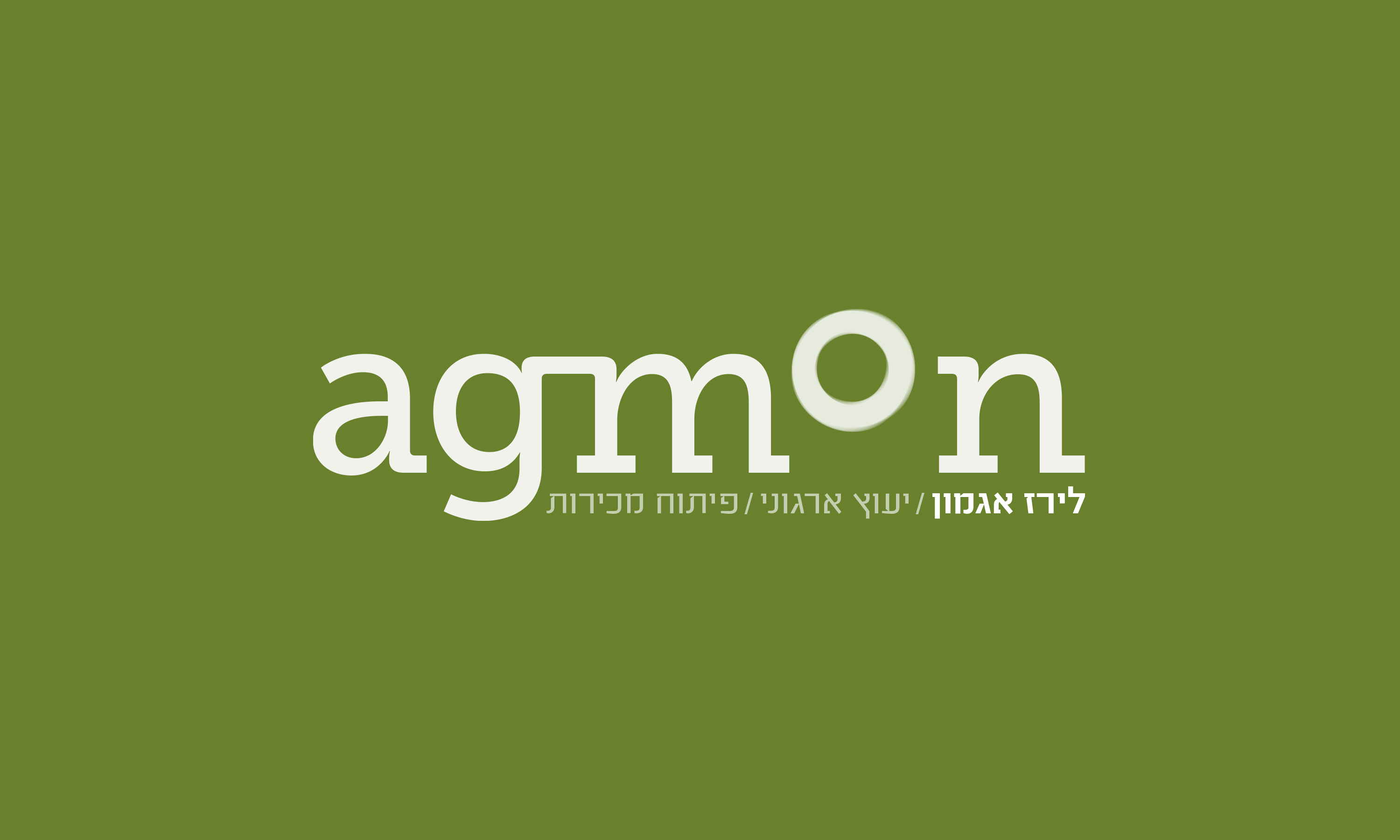  ייעוץ והכוונה מיתוג לירז אגמון